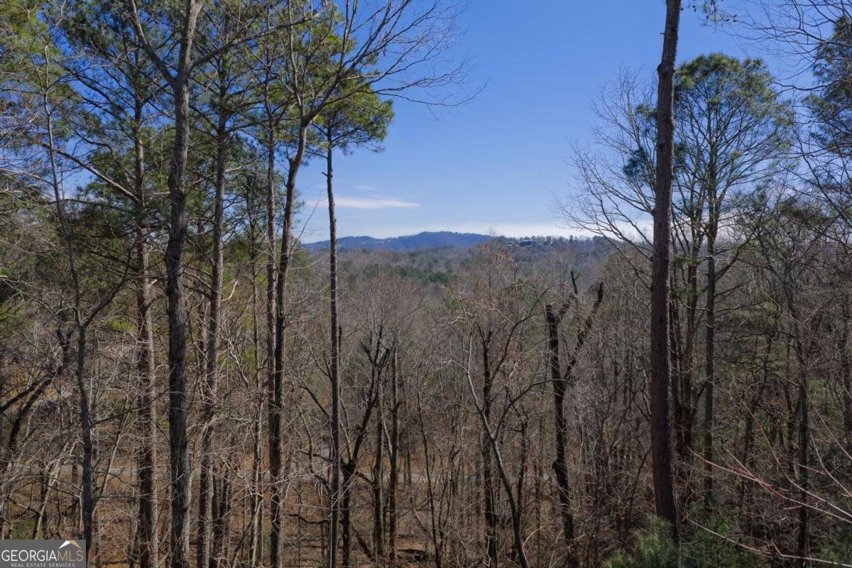 3171 Newport Drive Ellijay - Photo 7