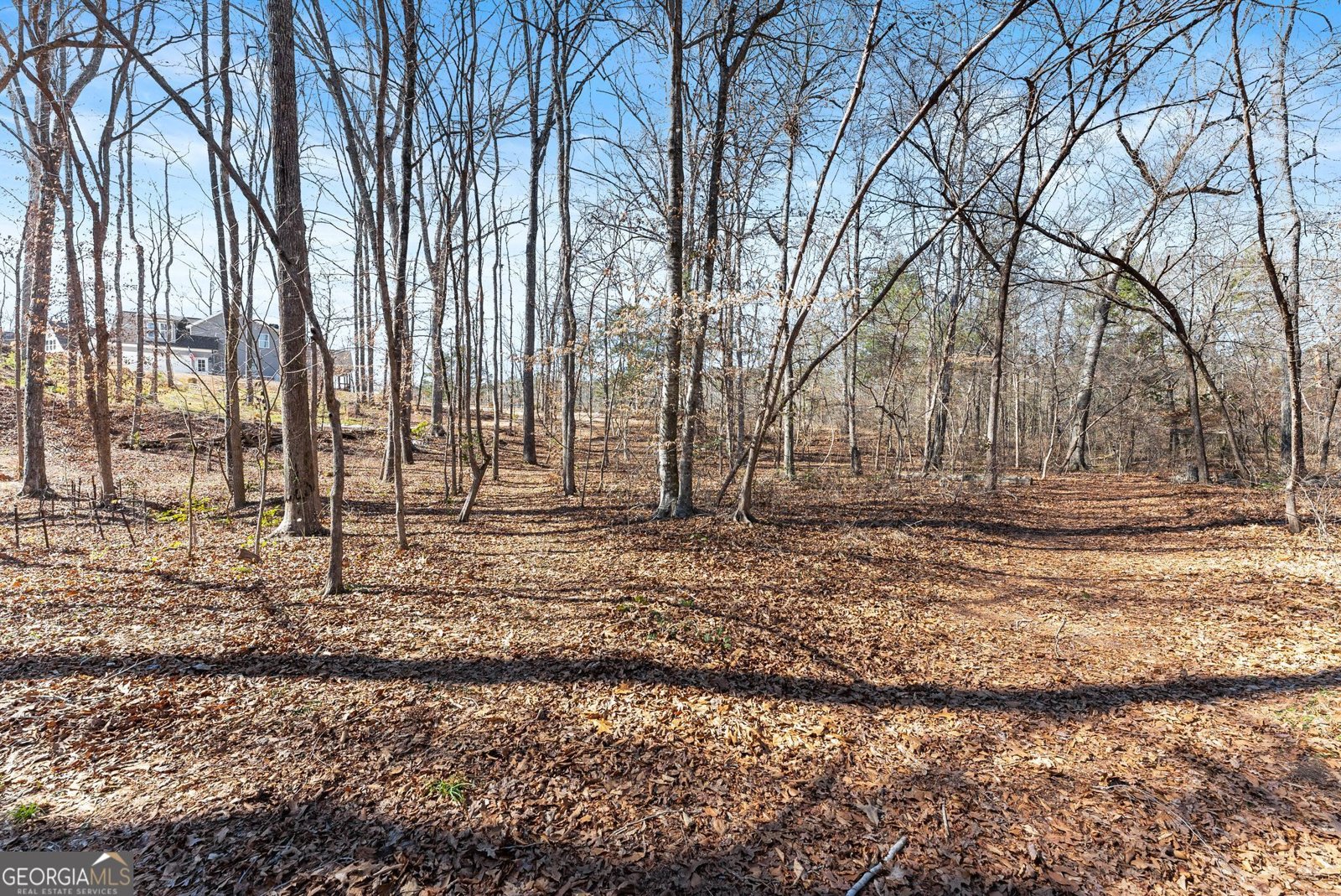 434 Riverbend Lane Bogart - Photo 57