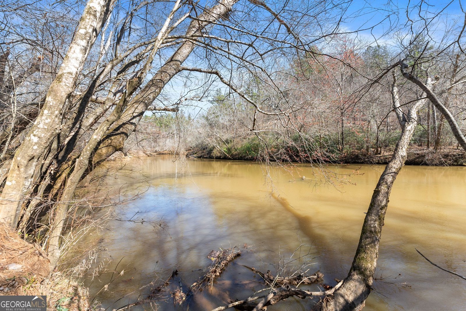 434 Riverbend Lane Bogart - Photo 62