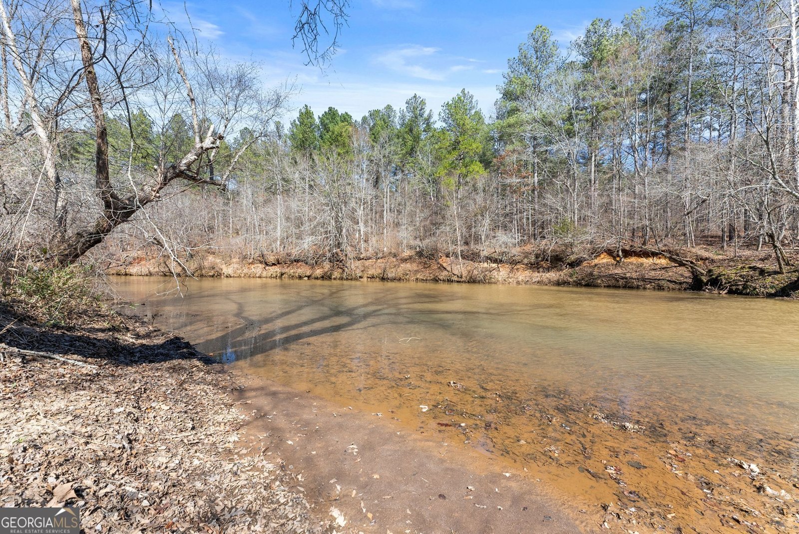 434 Riverbend Lane Bogart - Photo 66