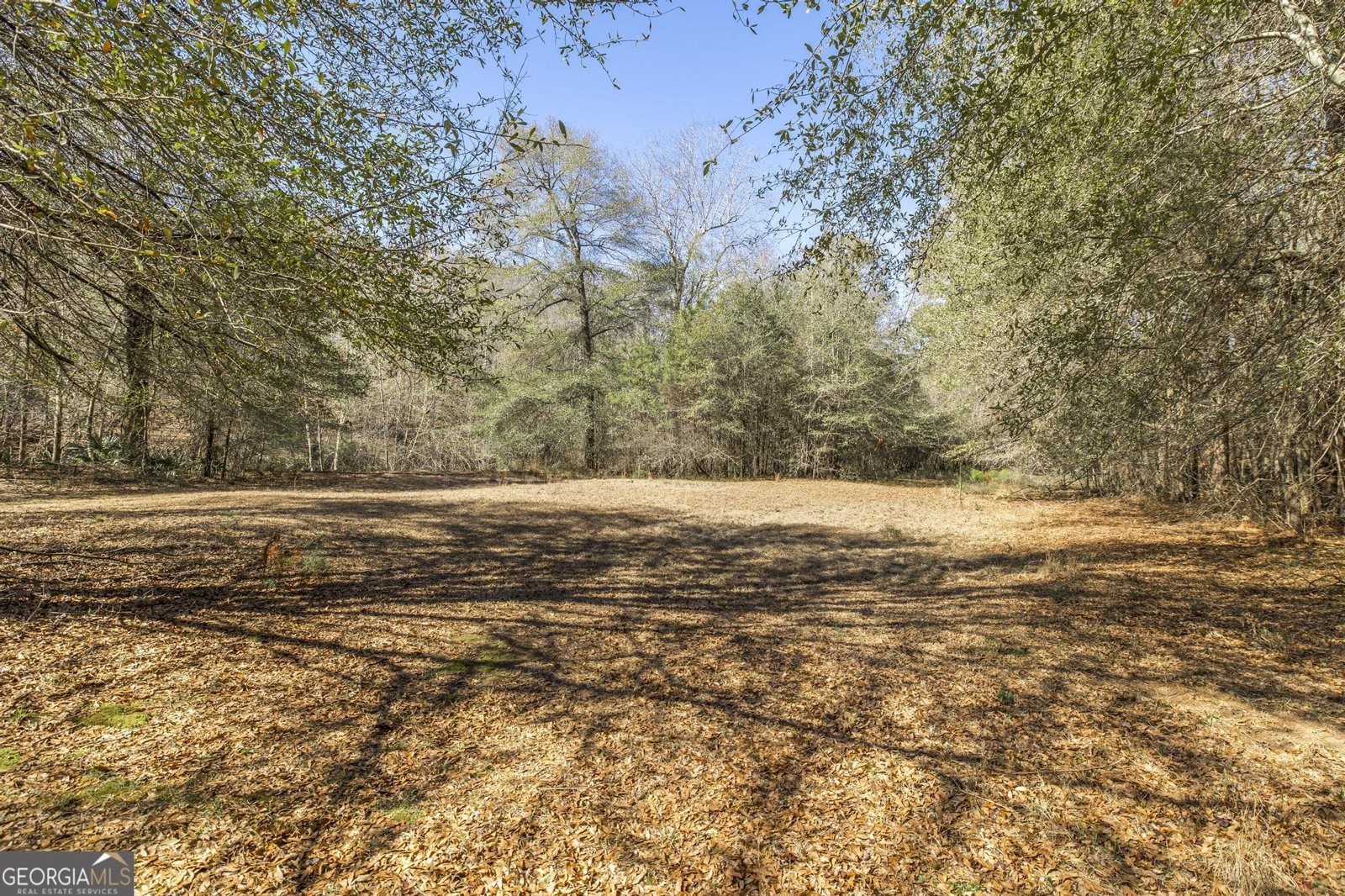 126 Pineworth Pointe Drive Macon - Photo 49