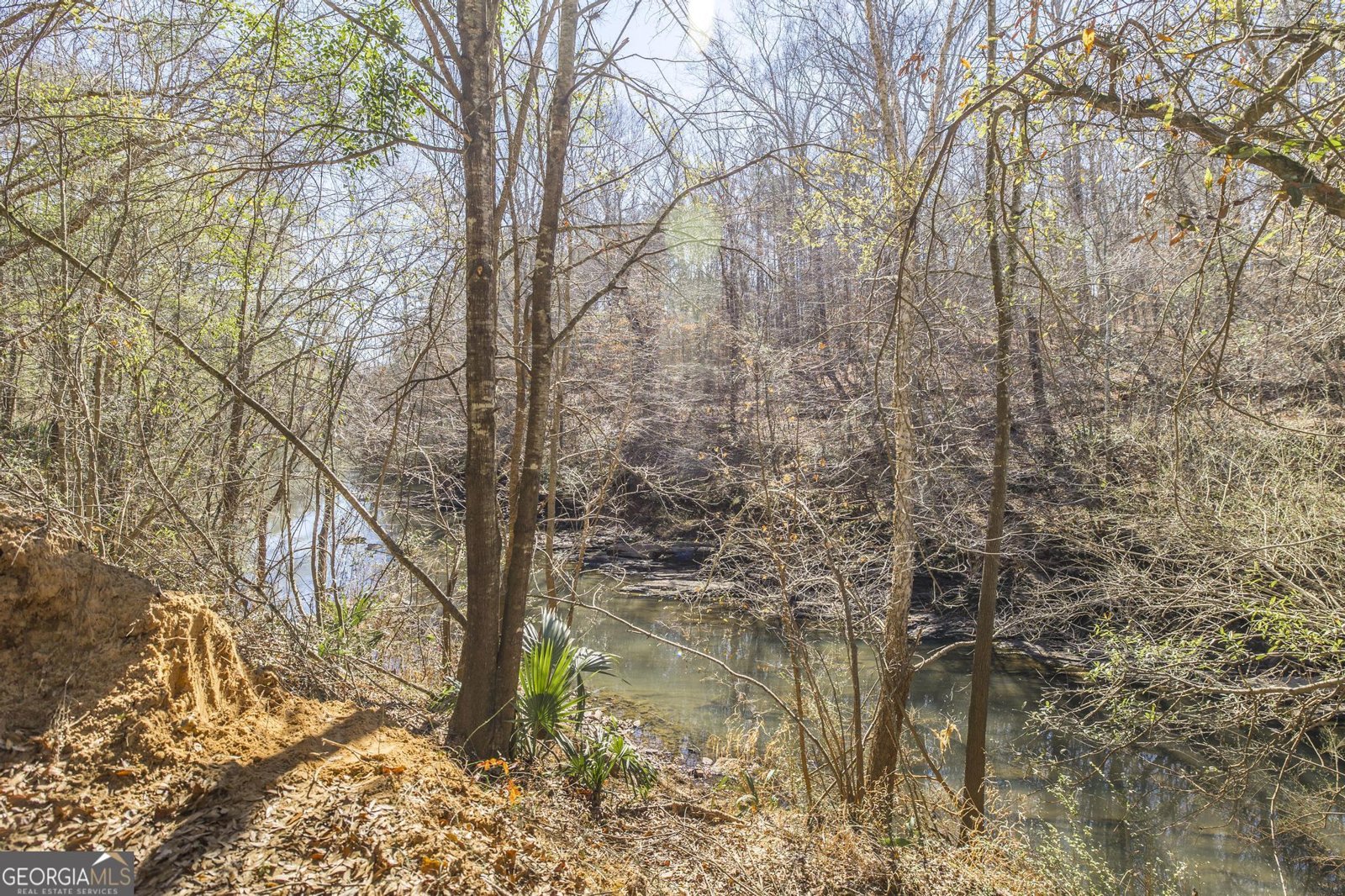 126 Pineworth Pointe Drive Macon - Photo 50