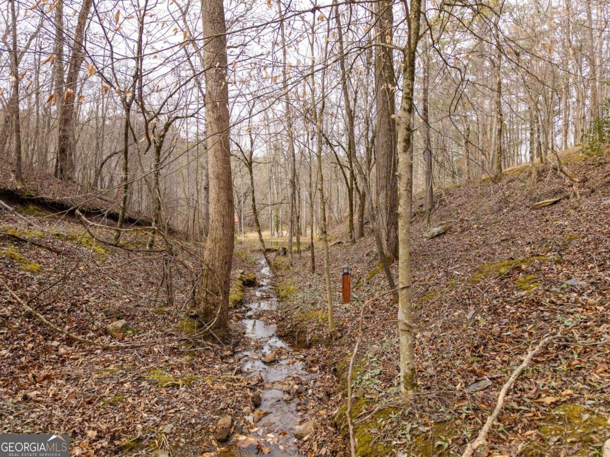 1547 Whitestone Road Talking Rock - Photo 18