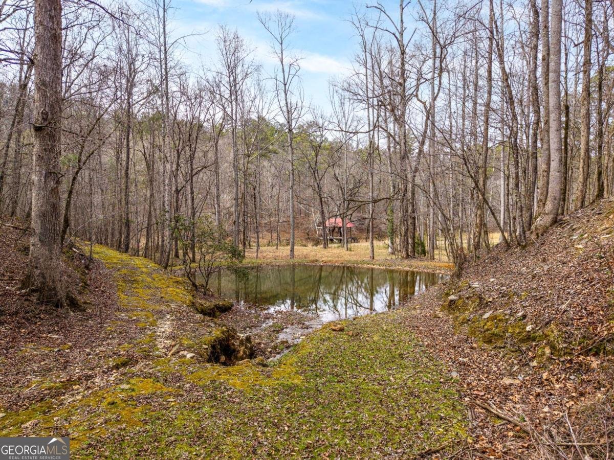 1547 Whitestone Road Talking Rock - Photo 20