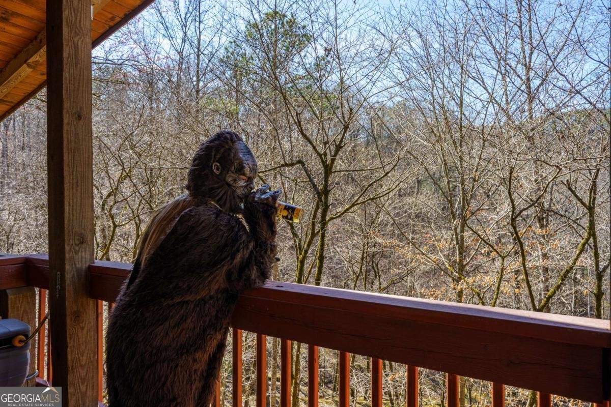 1547 Whitestone Road Talking Rock - Photo 63