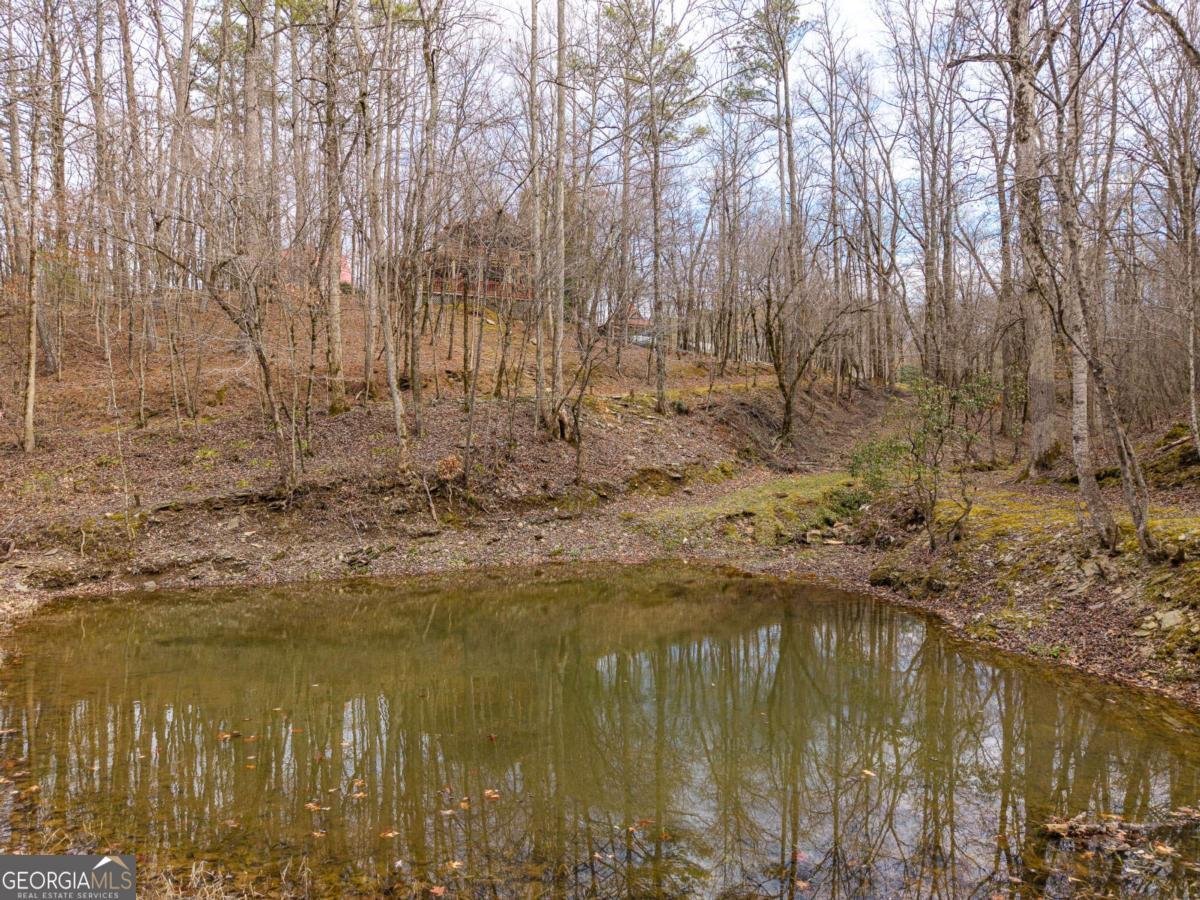 1547 Whitestone Road Talking Rock - Photo 64