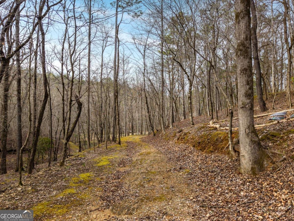 1547 Whitestone Road Talking Rock - Photo 76