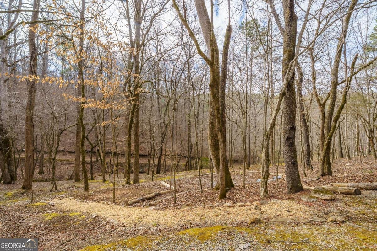 1547 Whitestone Road Talking Rock - Photo 78