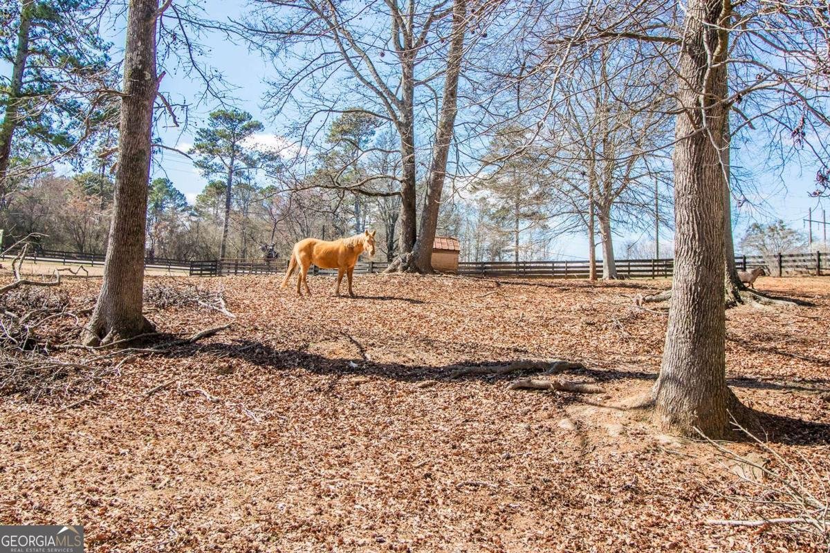 4302 Franklin Goldmine Road Cumming - Photo 44