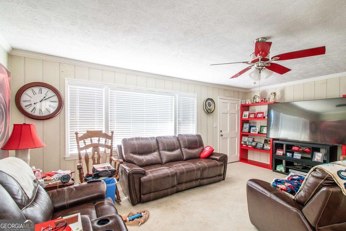 4302 Franklin Goldmine Road Cumming - Photo 9