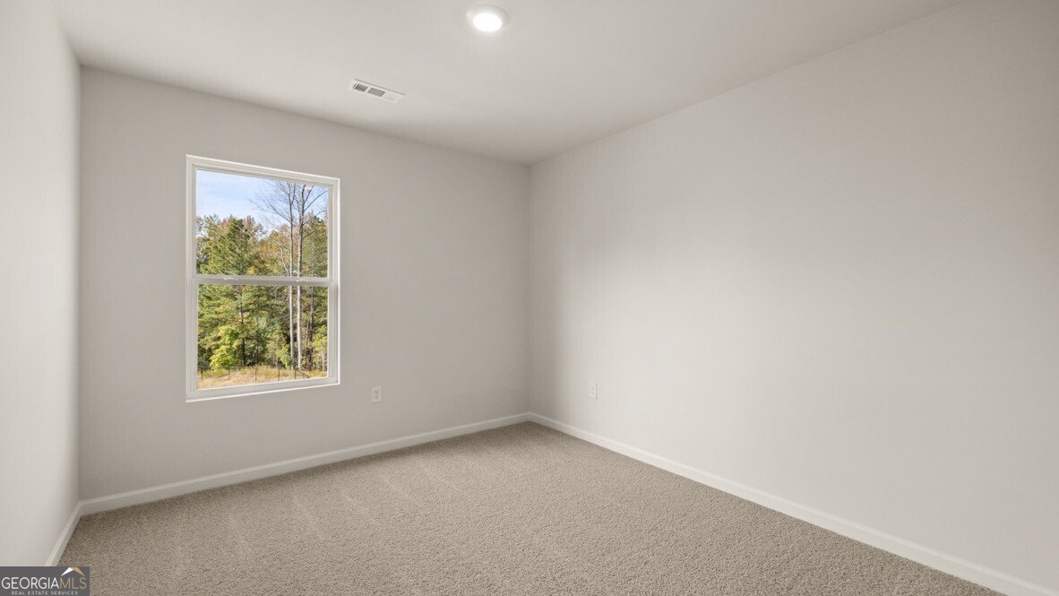 32 Berryville Drive Dawsonville - Photo 29