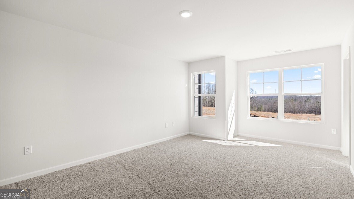 21 Berryville Drive Dawsonville - Photo 16