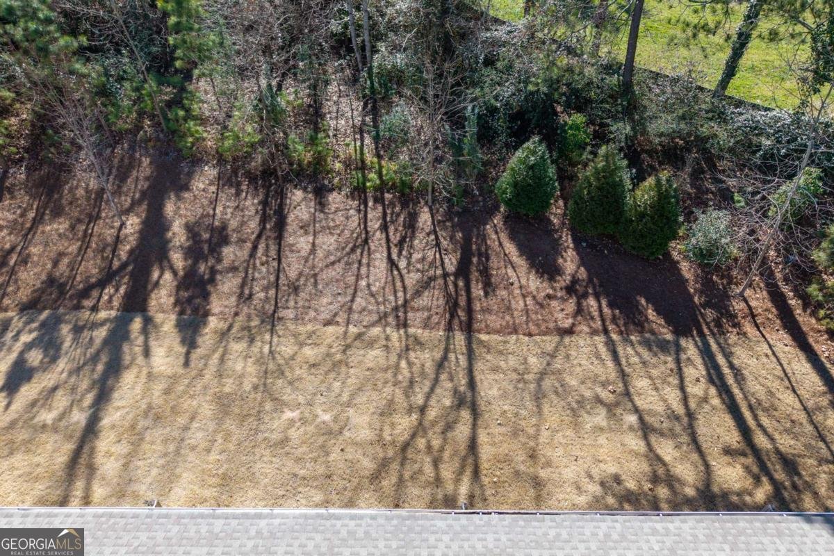 6042 Harbor Landing Drive Buford - Photo 41