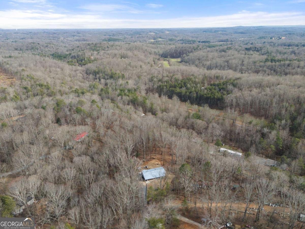 393 Lancelot Road Dahlonega - Photo 30