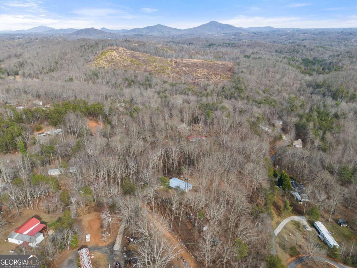 393 Lancelot Road Dahlonega - Photo 32