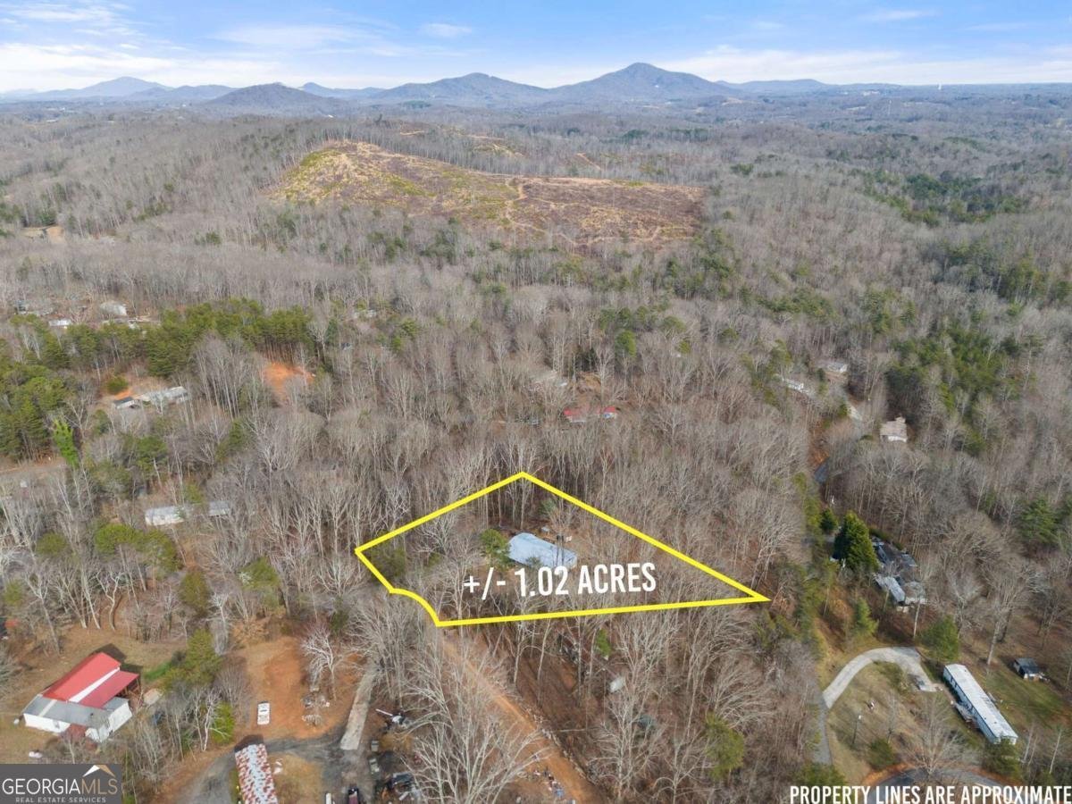 393 Lancelot Road Dahlonega - Photo 33