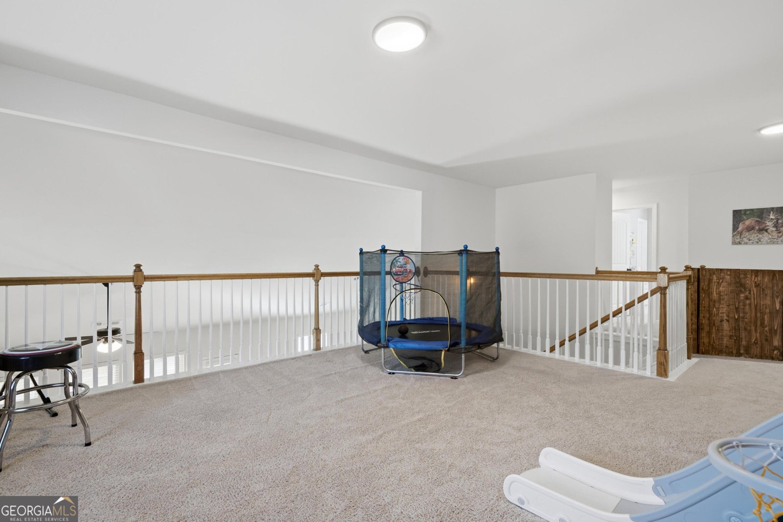 301 Stoney Hollow Road Canton - Photo 35