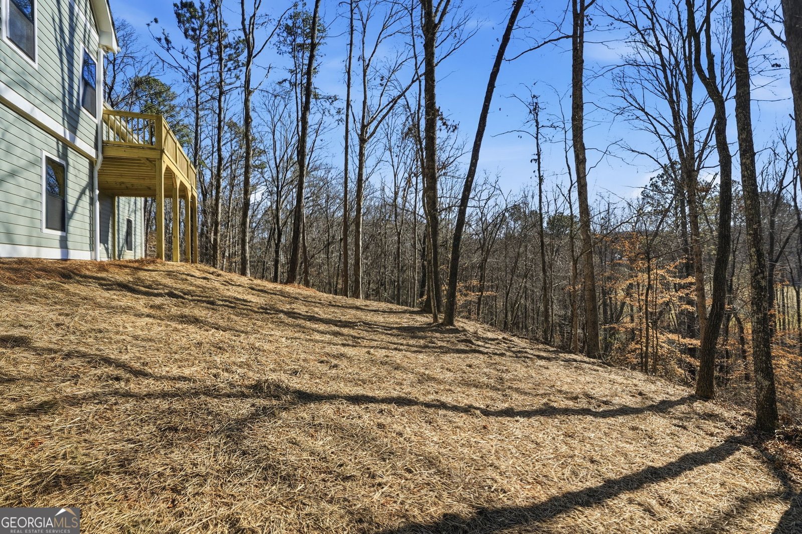 171 Bluff Creek Lane Ball Ground - Photo 55