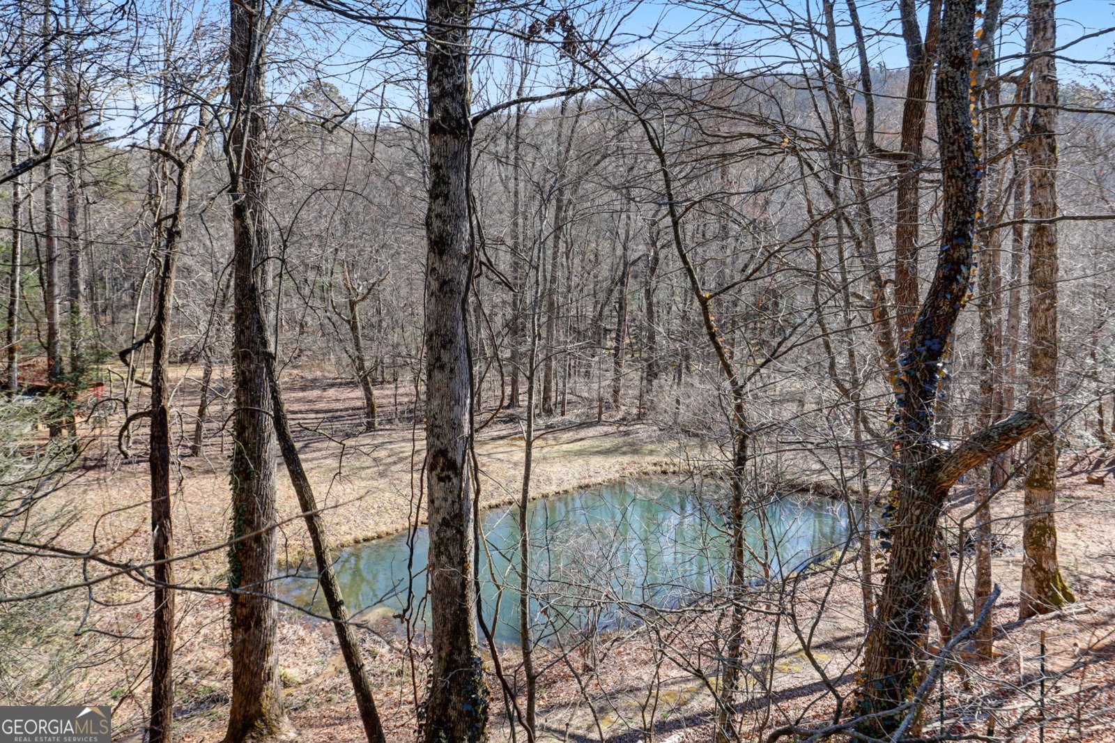 2761 Germany Road Clayton - Photo 11