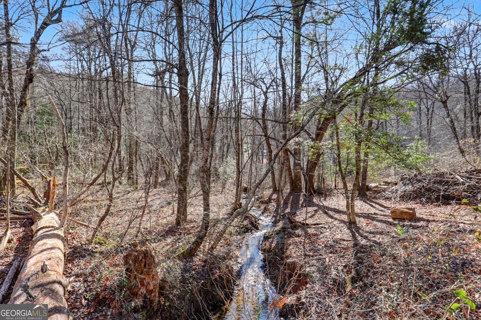 2761 Germany Road Clayton - Photo 51