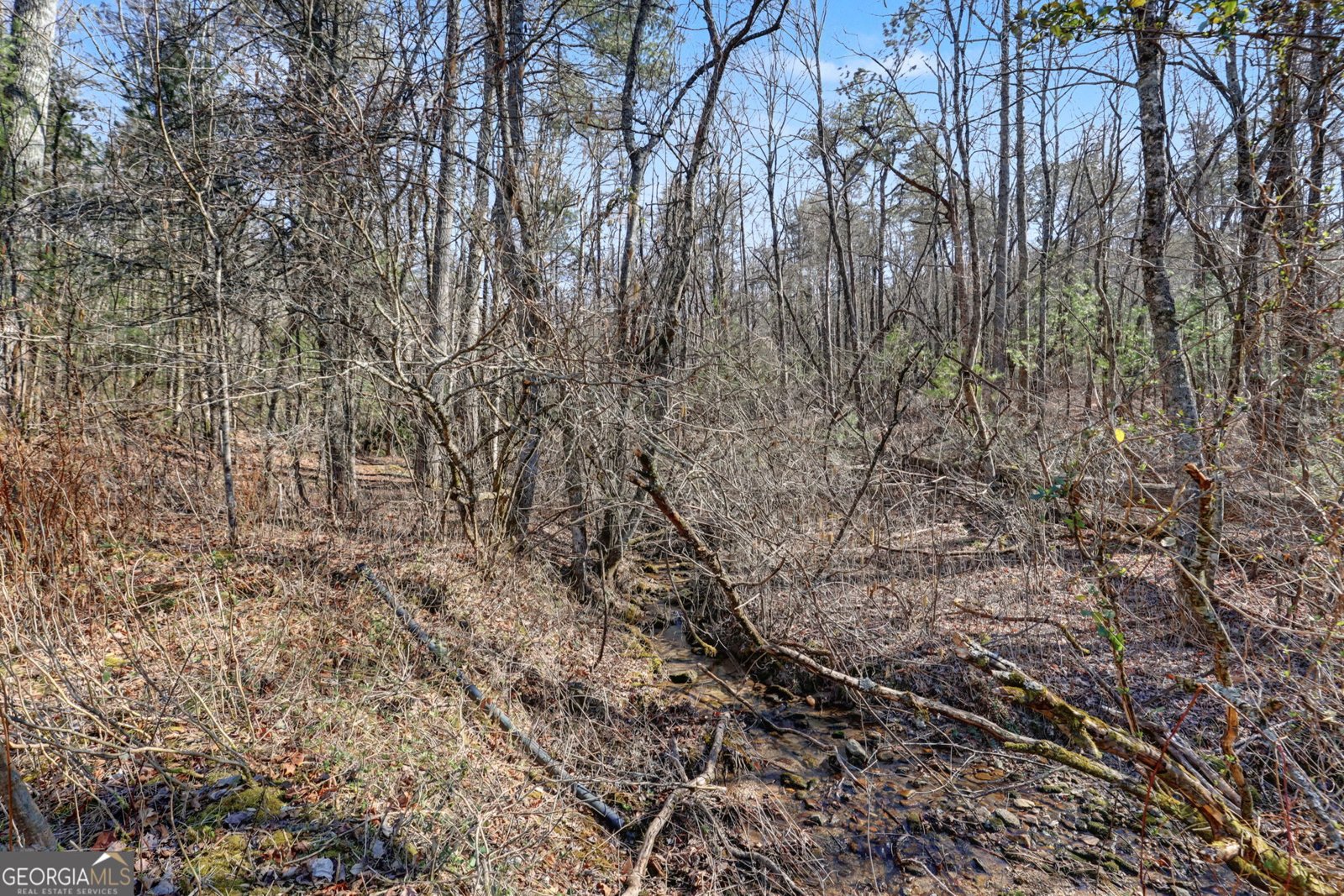 2761 Germany Road Clayton - Photo 55