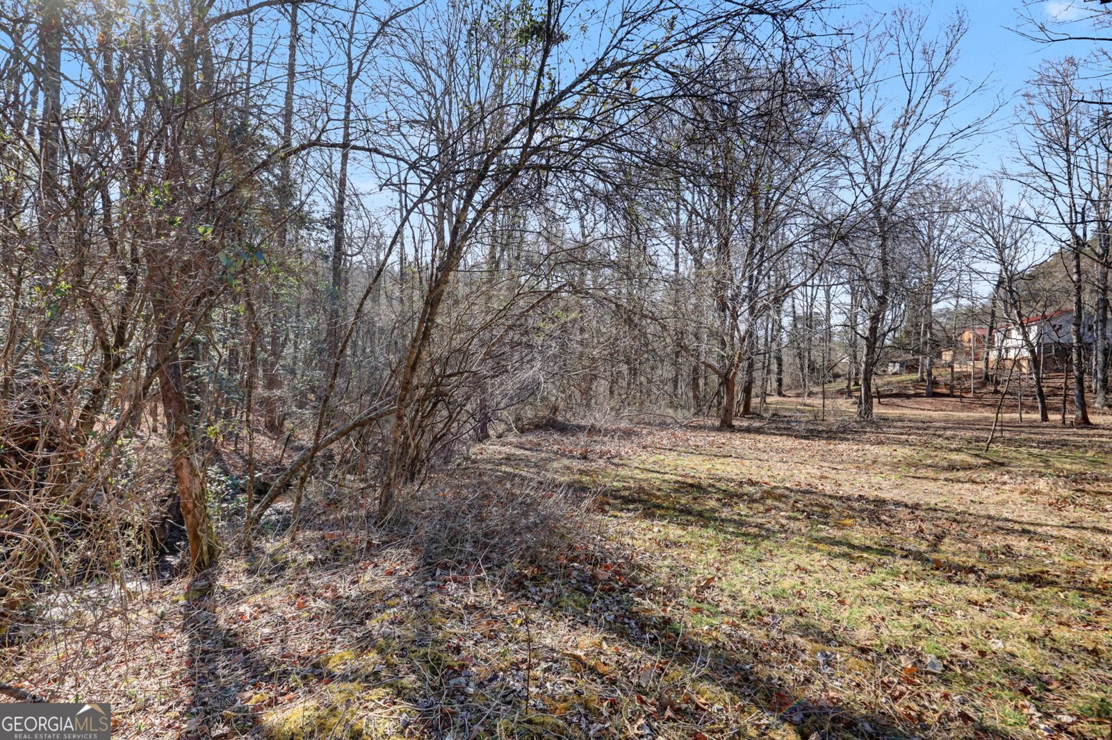 2761 Germany Road Clayton - Photo 56