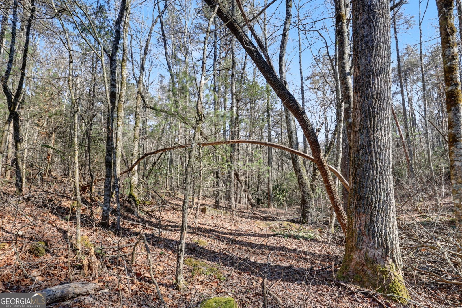 2761 Germany Road Clayton - Photo 57