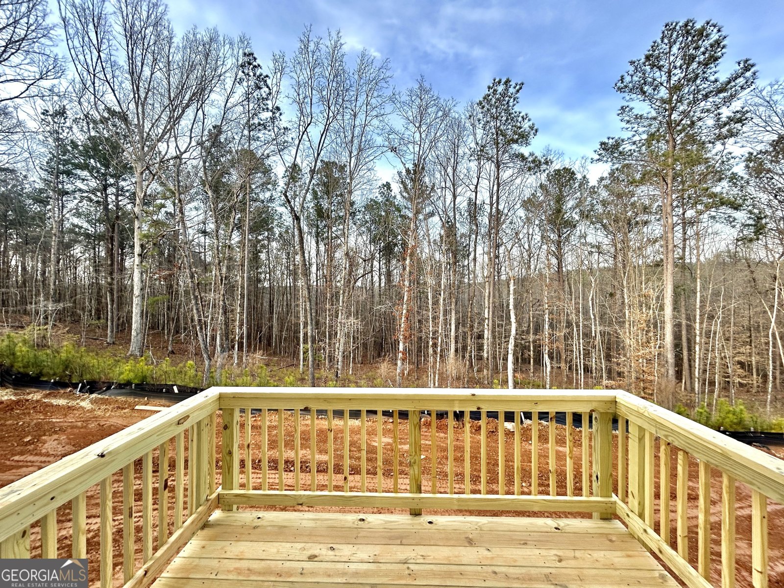 5376 Heron Bay Boulevard Locust Grove - Photo 11