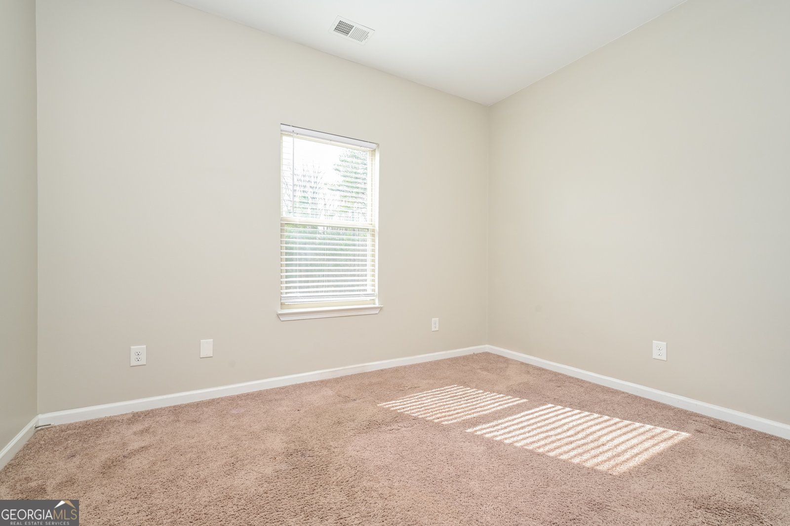 435 Fredrick Drive McDonough - Photo 12