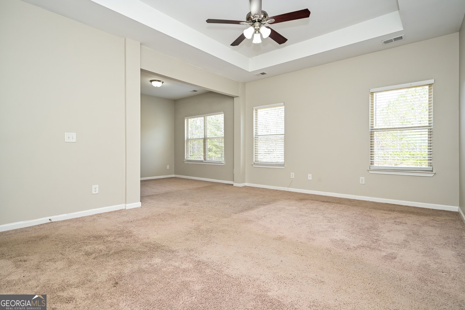 435 Fredrick Drive McDonough - Photo 8