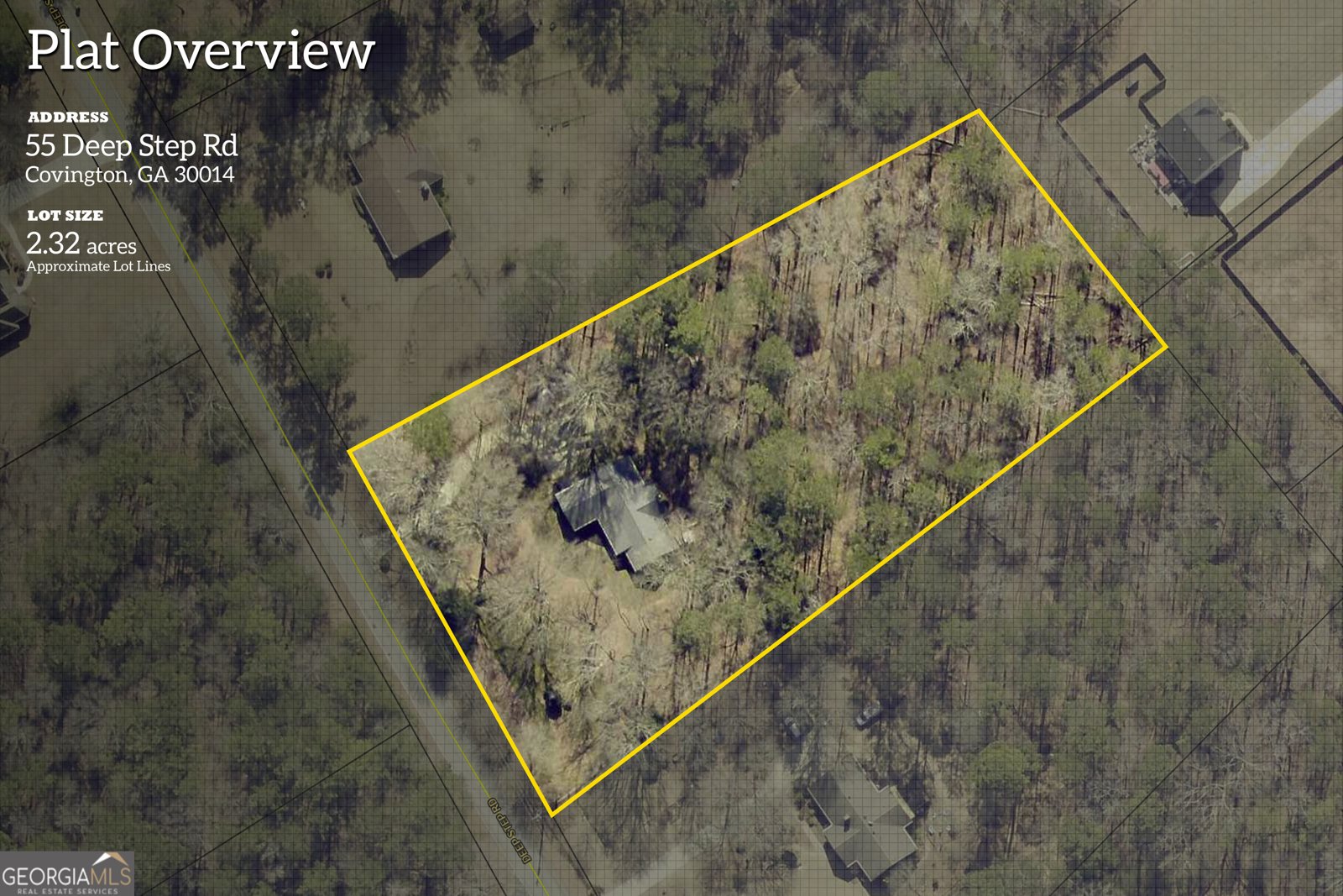 55 Deep Step Road Covington - Photo 56