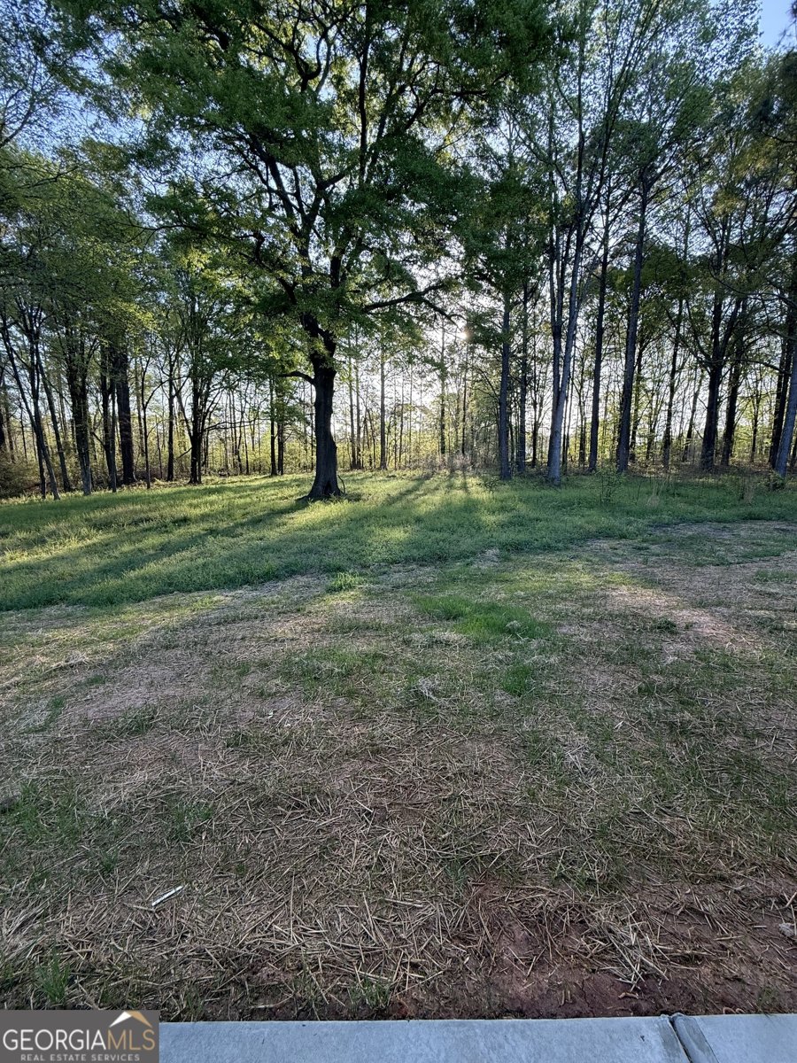 89 Bobbie Court Molena - Photo 14