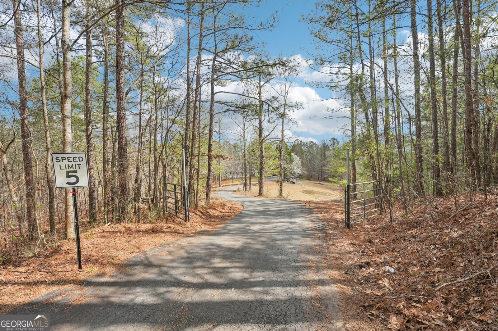 905 Wagers Mill Road Newnan - Photo 7