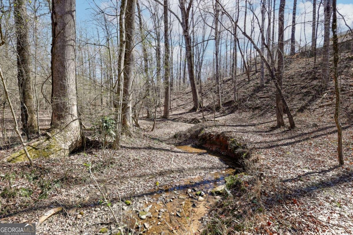 4618 Babbling Creek Way Gainesville - Photo 12