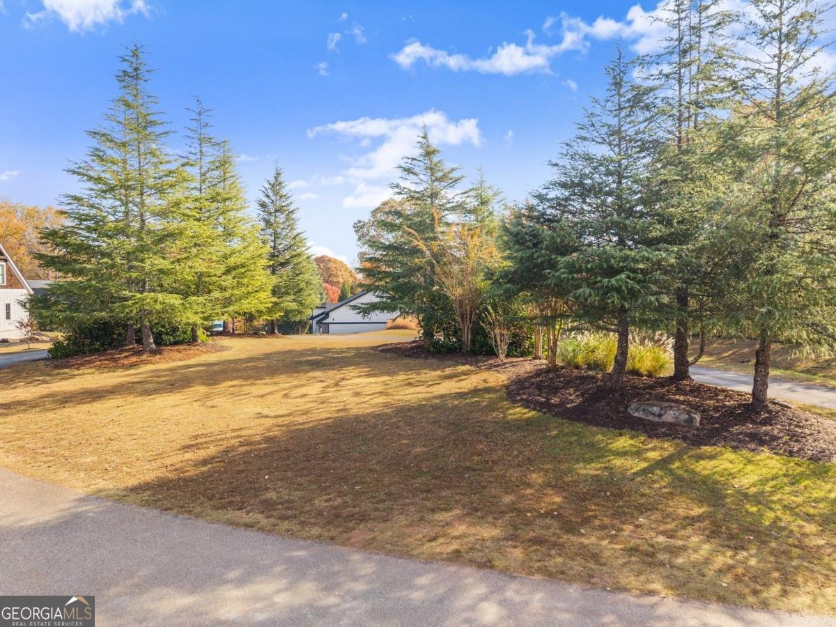 134 Rockhound Drive Dahlonega - Photo 69