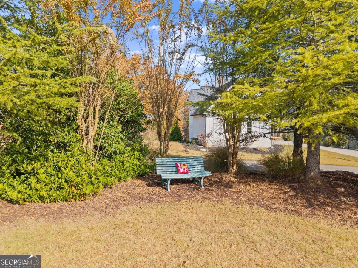 134 Rockhound Drive Dahlonega - Photo 70