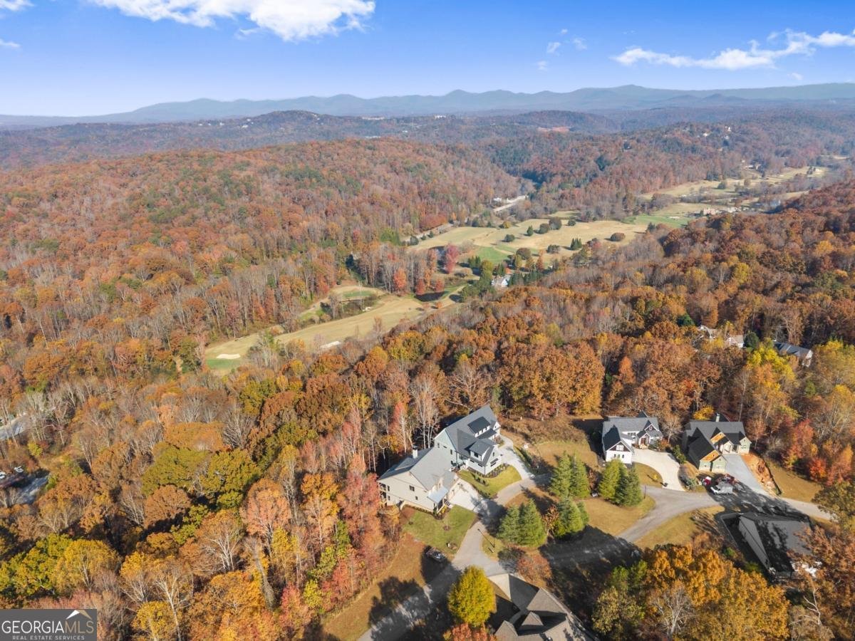 134 Rockhound Drive Dahlonega - Photo 77