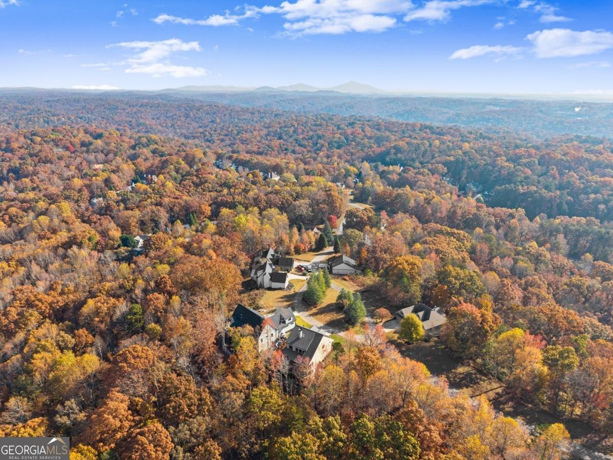 134 Rockhound Drive Dahlonega - Photo 79