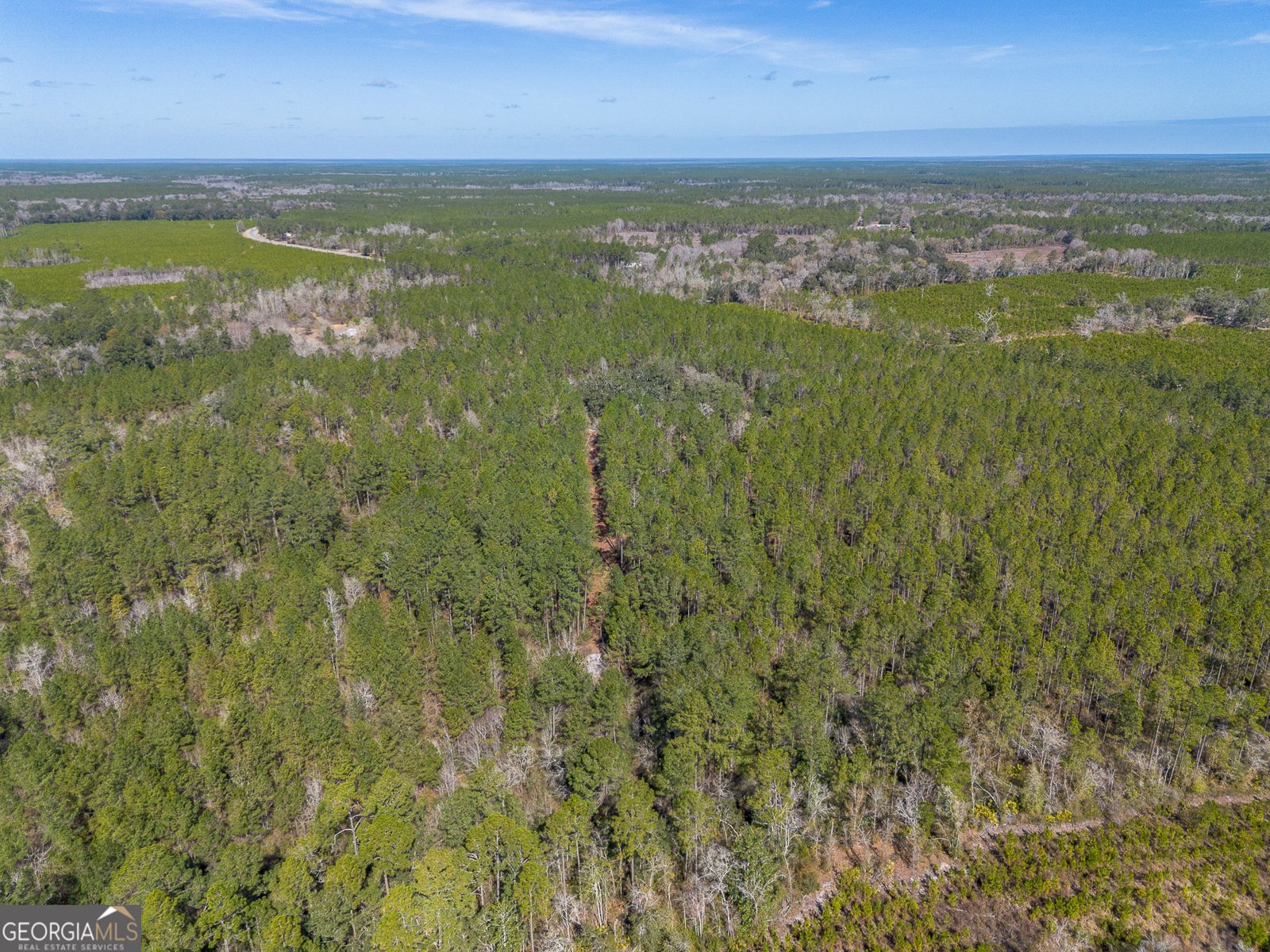 TRACT 1 - 12321 Highway 185 St. George - Photo 13