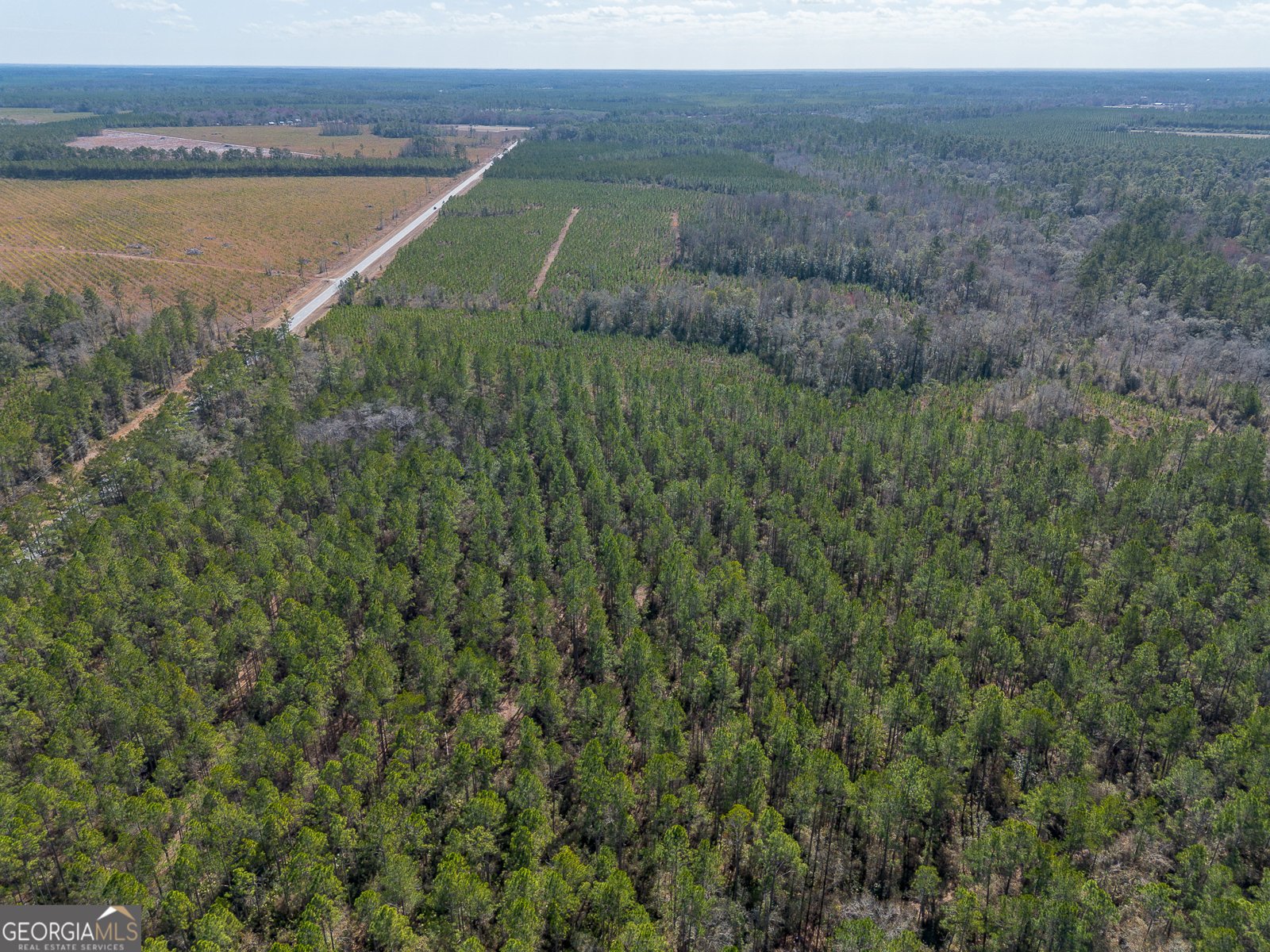 TRACT 1 - 12321 Highway 185 St. George - Photo 14