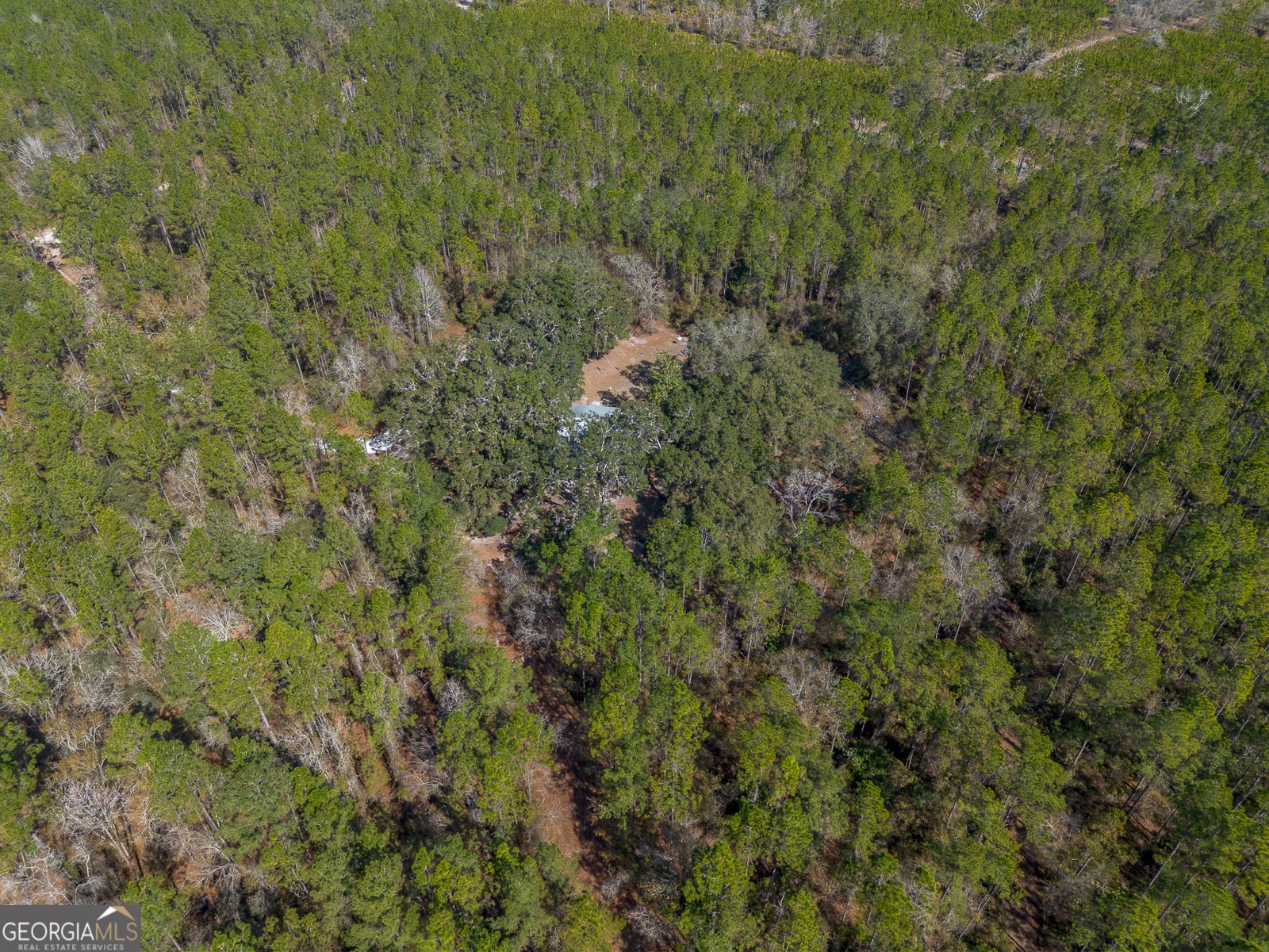 TRACT 1 - 12321 Highway 185 St. George - Photo 15