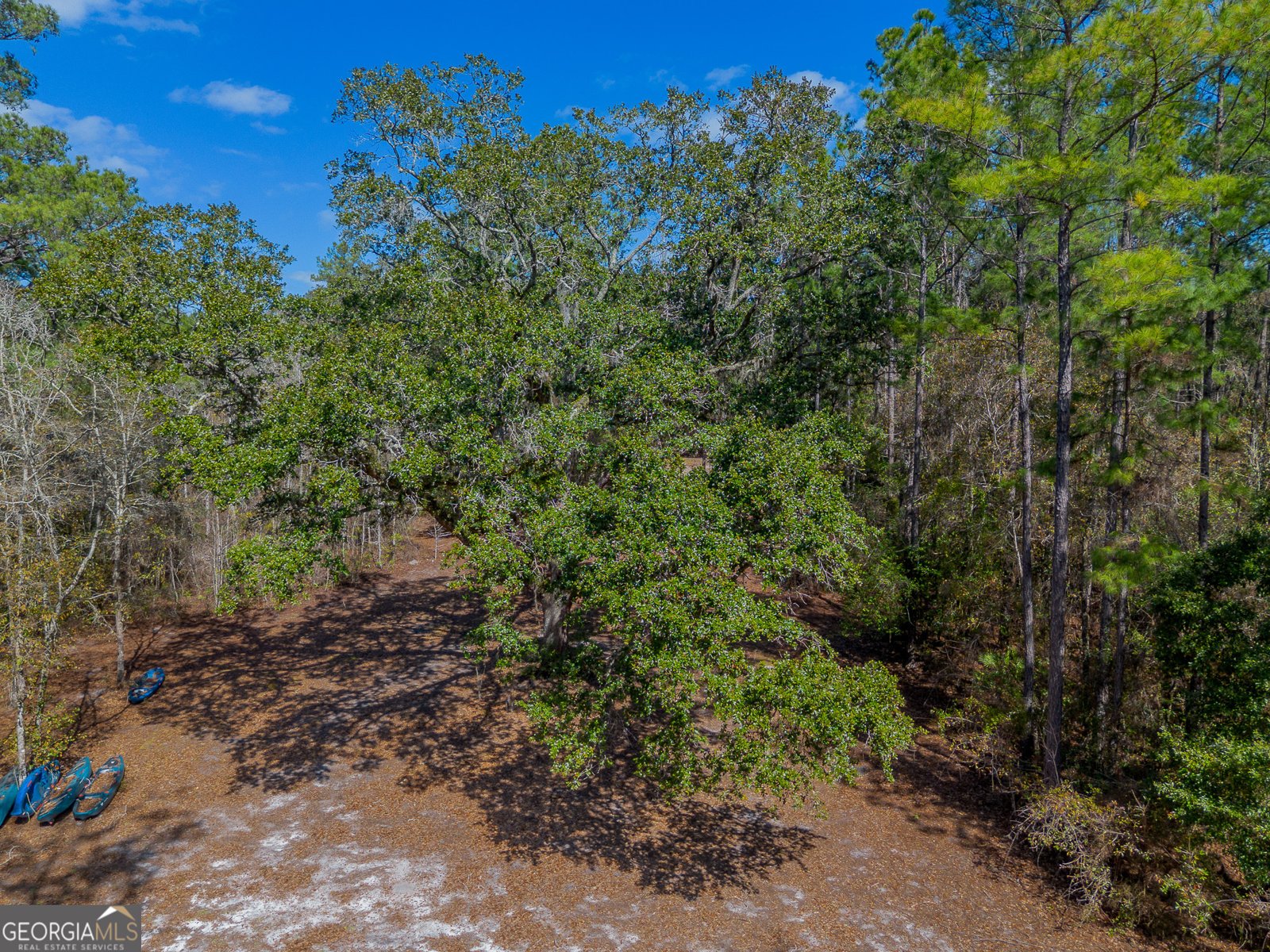 TRACT 1 - 12321 Highway 185 St. George - Photo 19