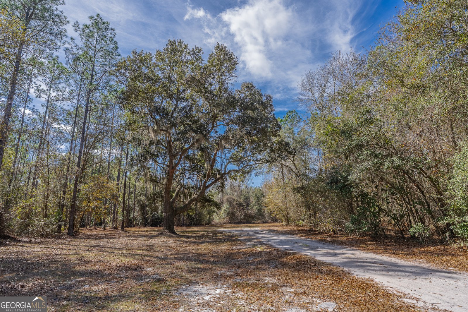 TRACT 1 - 12321 Highway 185 St. George - Photo 21