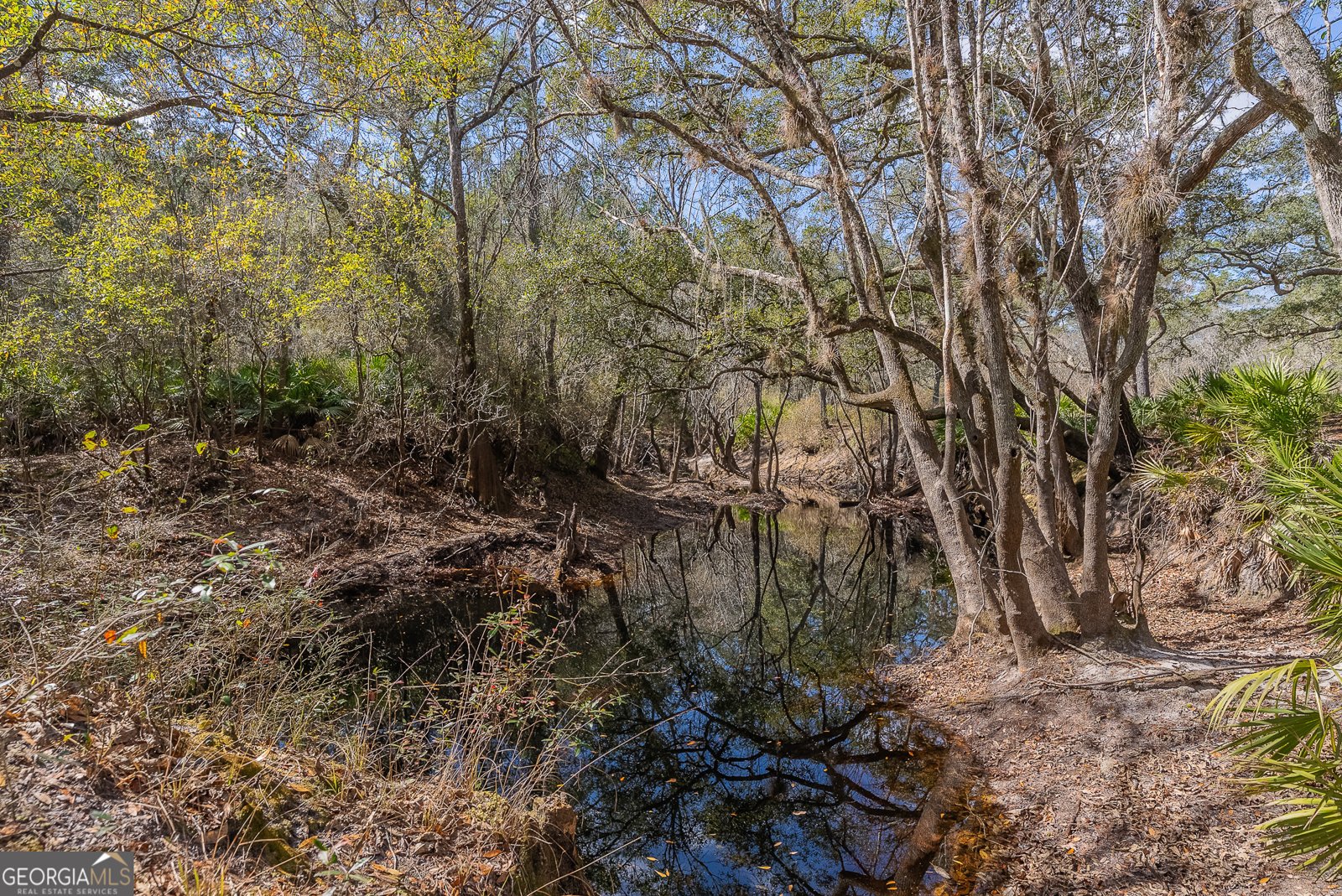 TRACT 1 - 12321 Highway 185 St. George - Photo 43