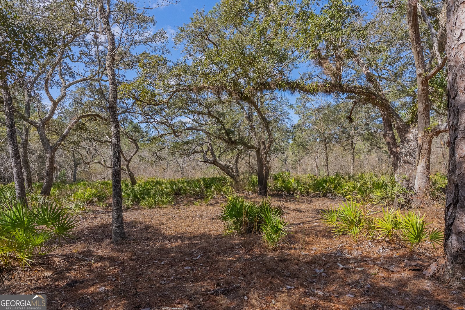 TRACT 1 - 12321 Highway 185 St. George - Photo 45