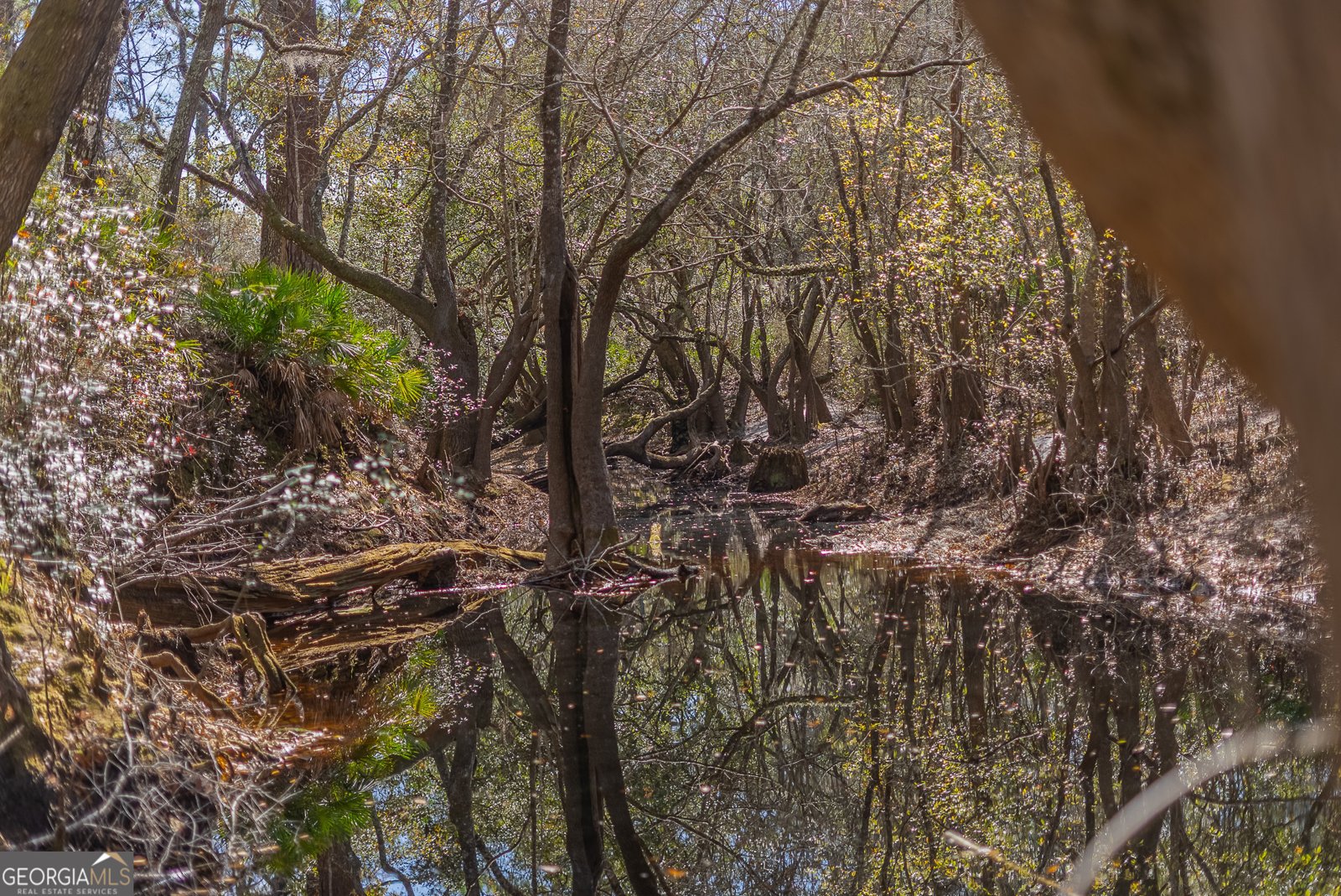 TRACT 1 - 12321 Highway 185 St. George - Photo 47