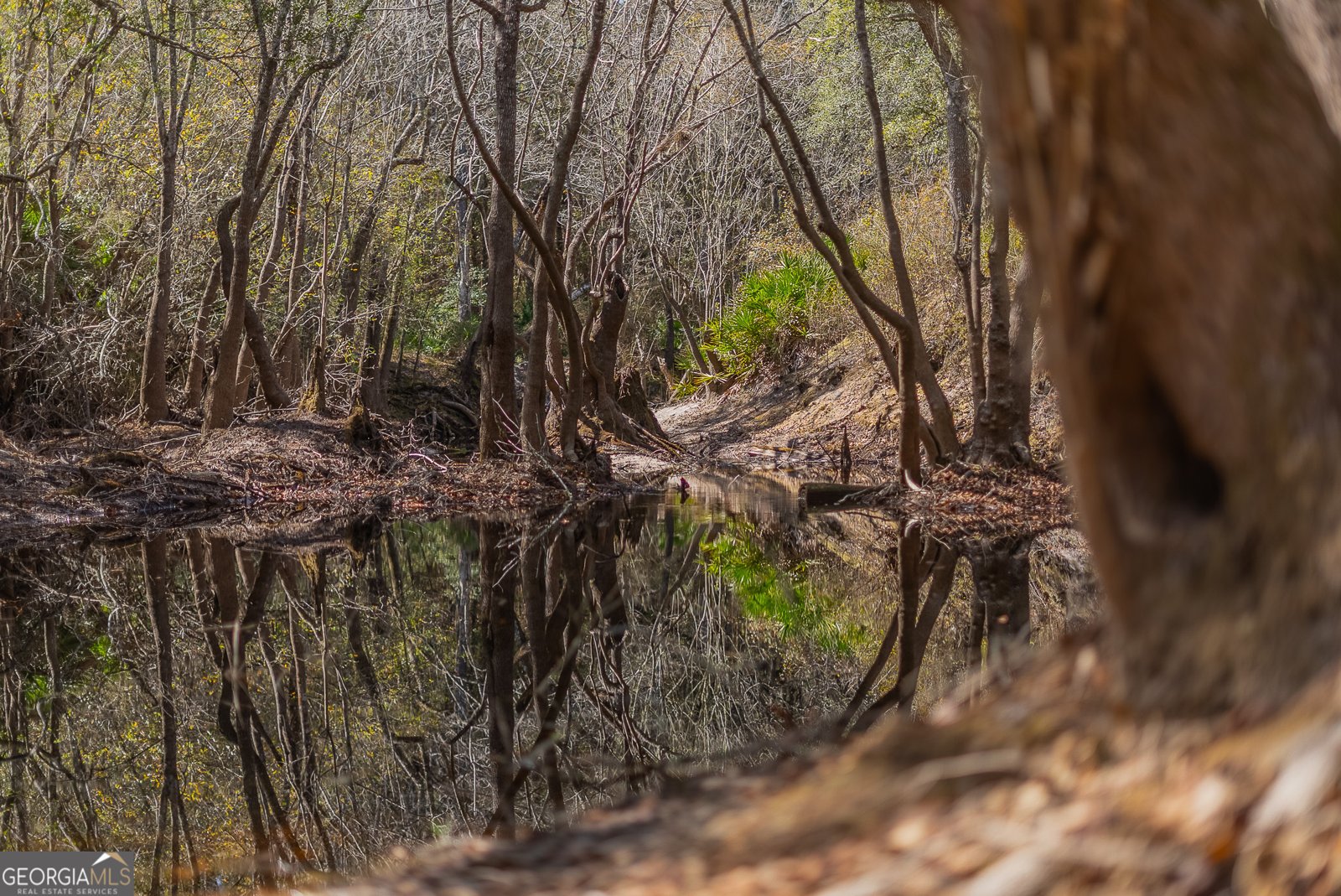 TRACT 1 - 12321 Highway 185 St. George - Photo 48