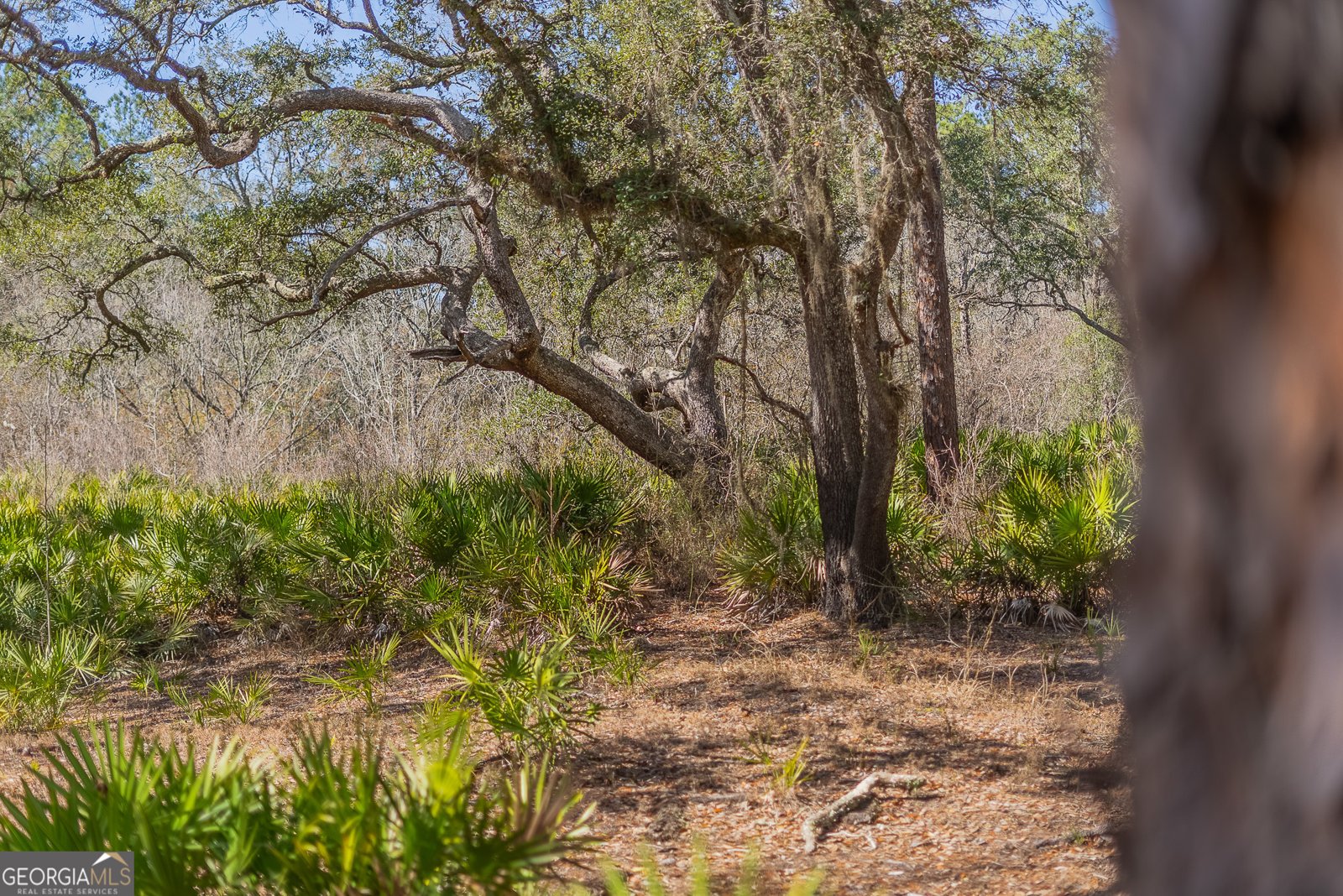 TRACT 1 - 12321 Highway 185 St. George - Photo 49