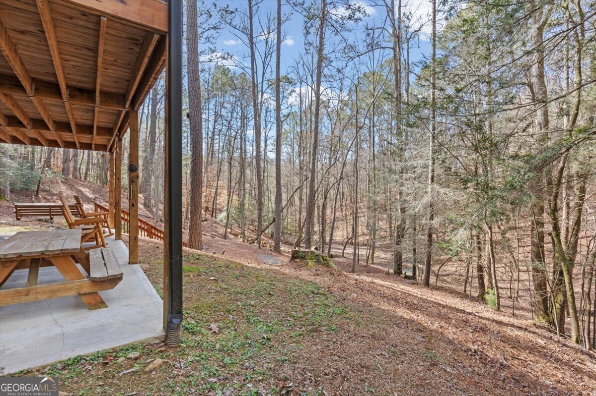 61 Grove Lane Ellijay - Photo 37