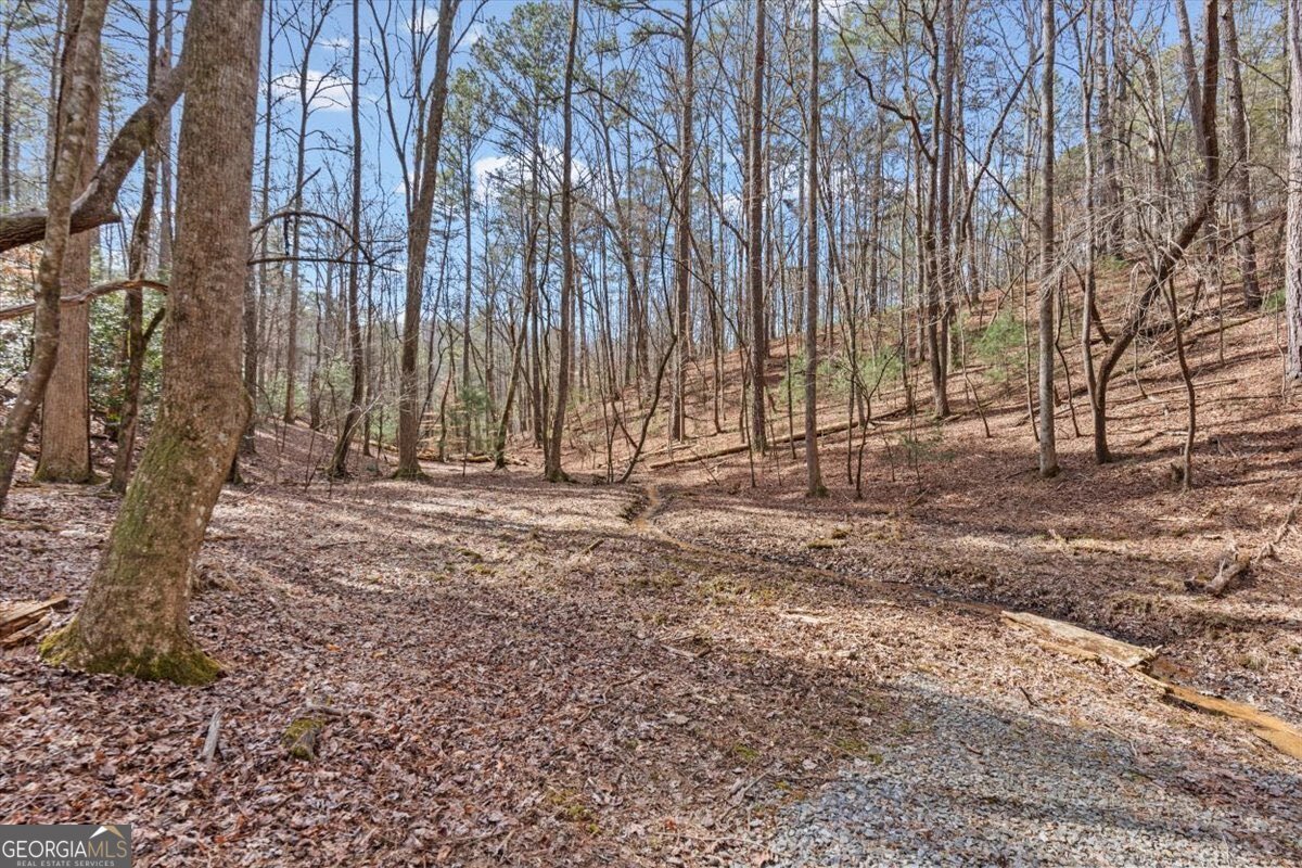 61 Grove Lane Ellijay - Photo 43